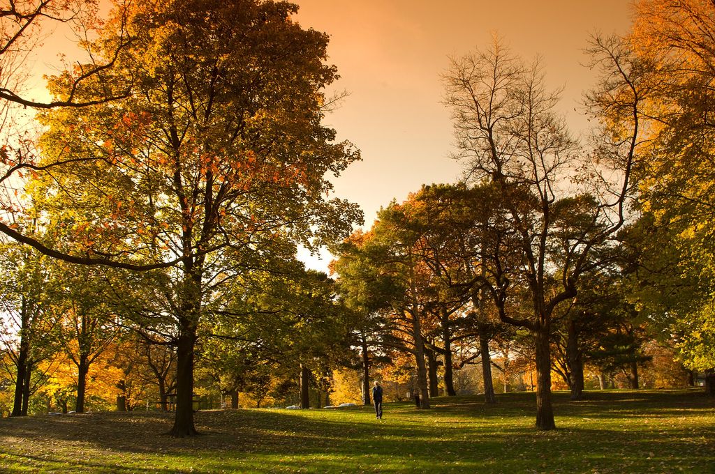 High Park, Toronto, in autumn