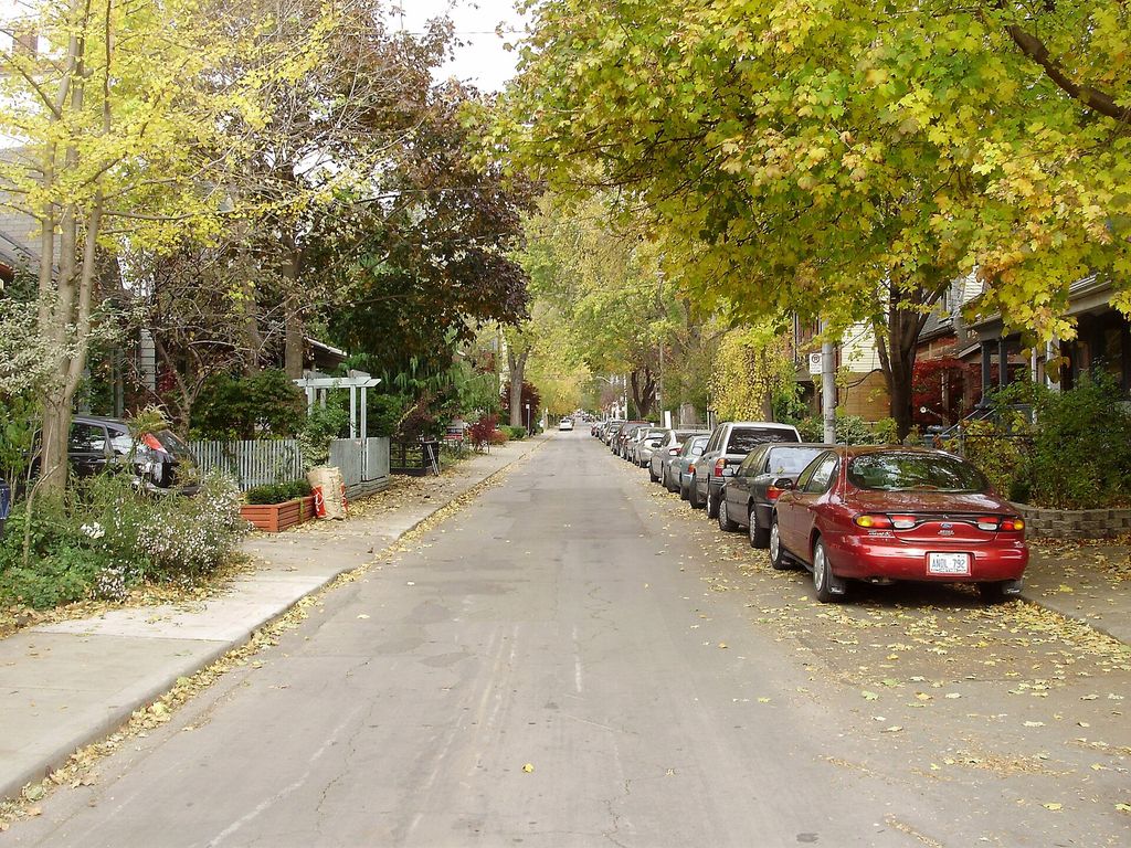 A tree-lined Toronto street in autumn